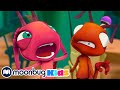 @AntiksOfficial - Champignons Zombie  | Moonbug Kids - Dessin Animé En Francais