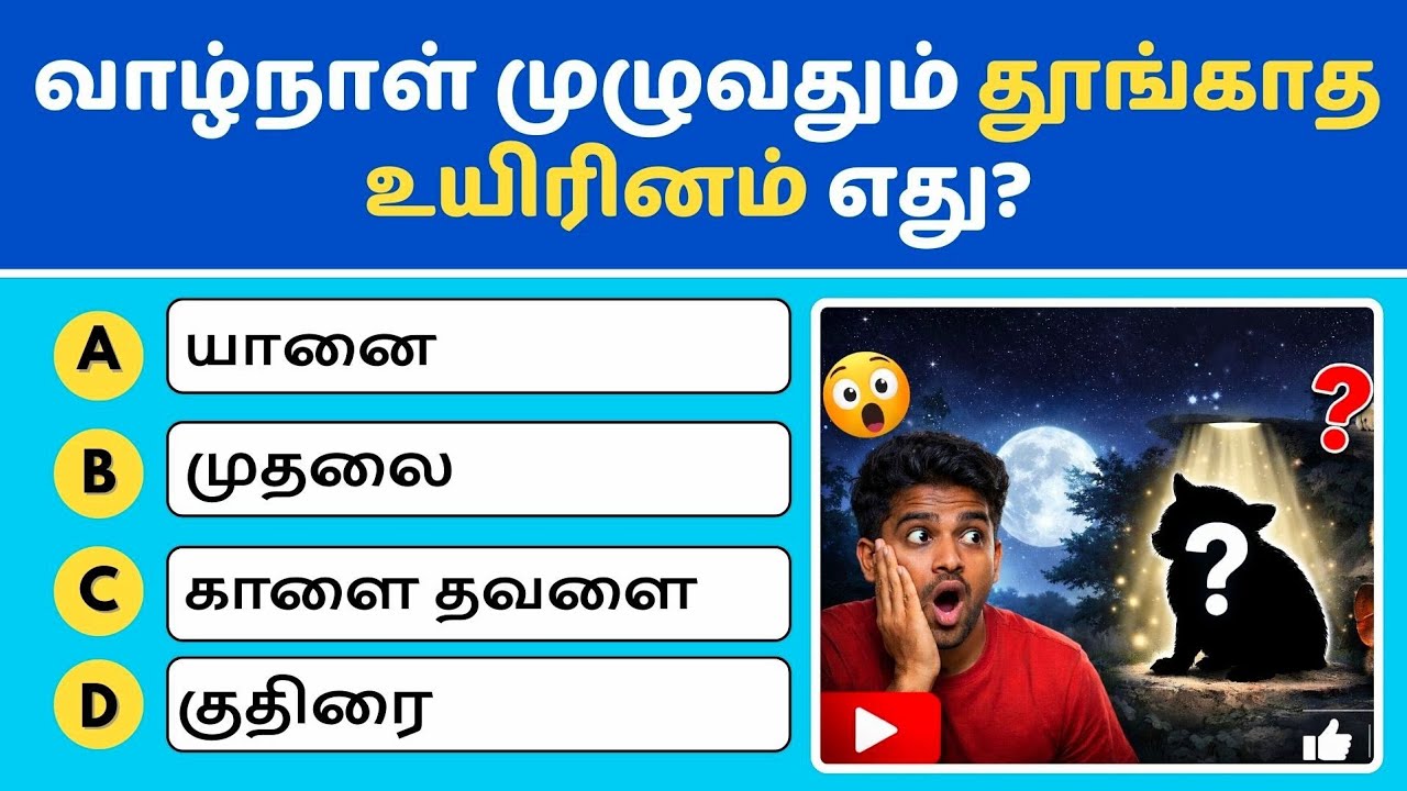 🦜 இந்த fact தெரிஞ்சா மறக்கவே மாட்டீங்க 🤯 | Viral Animal Quiz Tamil
