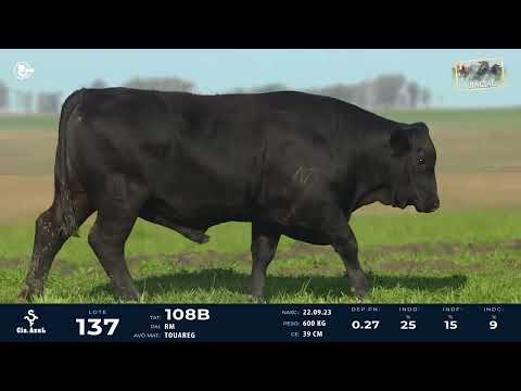 LOTE 137   TAT 108B M Ultrablack