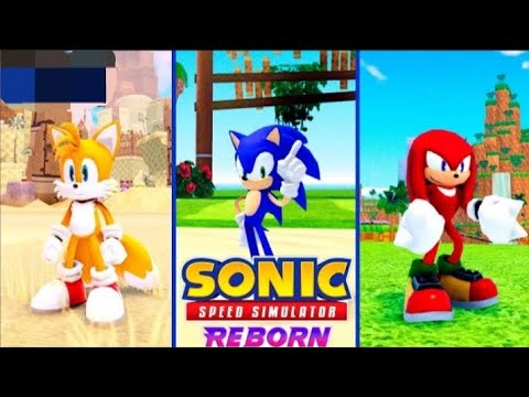 robin hood roblox sonic