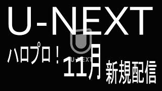 Dont Miss Out on U NEXT/ハロプロ11月新規配信動画/モーニング娘。/ハロープロジェクト