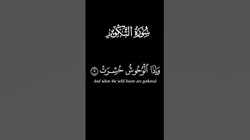 كروما سورة التّكوير ج1 #الصلاة#دعاء#آيات#اكسبلور#مسلم #الغربة #الجزائر#اكسبلور #الجمعة#رمضان#لايك#yt