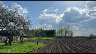 картинка: Весенние работы на Полесье