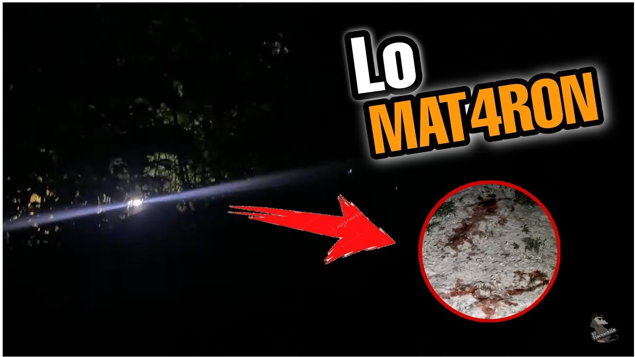 🔥 Sangrient4 🩸 Exploración | Noche Dolorosa - No lo Vas a CREER 🚧