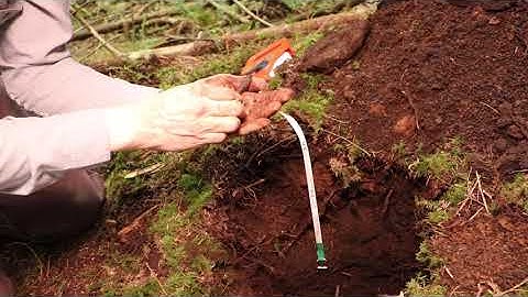 Soil Pit 1 - Analysis and Explanation