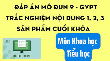 Đáp án mô đun 9 môn Khoa học tiểu học đầy đủ nhất | Trắc nghiệm nội dung 1, 2, 3+ Sản phẩm cuối khóa