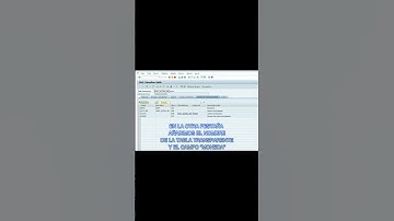 Tabla Transparente Parte 6.  (Final) #manthis20 #sap #abap #programacion #tutorialabap #fyp