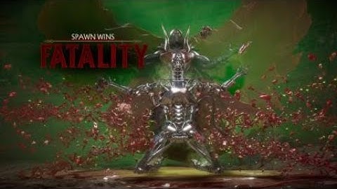 MK11 Spawn vs Terminator