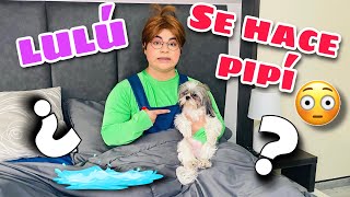 Meme se hace pipí / Lulú se va de la casa