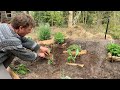 Bygger et Selvvandende Højbed i Min Permakultur Skovhave! #offgrid #permakultur #hugelkultur