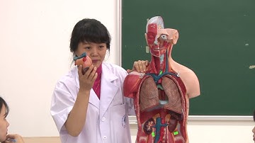 Khoa Y Dược - Trường Cao Đẳng Công nghệ và Thương mại Hà Nội