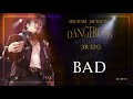 Bad  dangerous world tour fanmade  michael jackson
