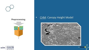 Automatic individual tree detection from combination of aerial imagery, LiDAR & environment context