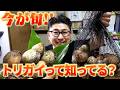 【長渕剛登場？】トリガイに一番合う食べ方はどれだ！？とんぼ熱唱の理由とは・・・