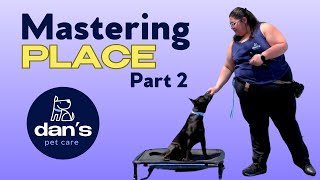 Mastering the 'PLACE' Command (PART 2) Dog Training Basics