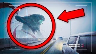 Top 10 Giant Creatures Caught on Camera