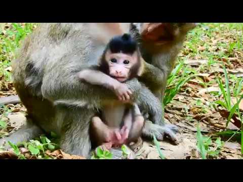 removes stretch marks a baby needs removes from mommy_baby wants walking