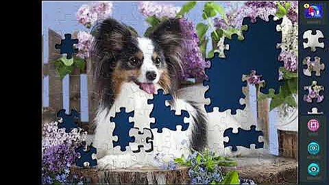 Magic Jigsaw Puzzles: Cute papillon dog, Classic cut, 140 piece