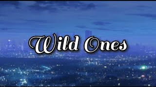 Flo Rida - Wild Ones ft. Sia (Lyrics)