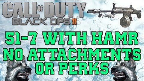 Black Ops 2: 51-7 Kill Confirmed on Raid w/ HAMR (No Attachments/No Perks)