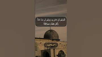 سورة النساء الآية ٥٤ الى ٥٦ بصوت الشيخ محمد صديق المنشاوي
