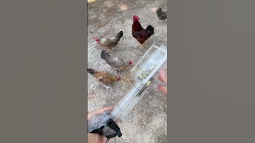 This speed loader alone makes the Tippmann M4-22 worth it...