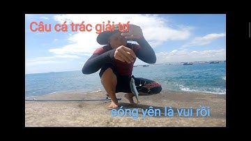 Câu cá trác bằng mồi lông,với mực, ốc móng tay