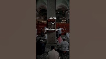 ياليتني كنت معهم فأفوز فوزا عظيما 🤲 تلاوة خاشعة من سورة النساء #ماهر_المعيقلي #quran #قرآن