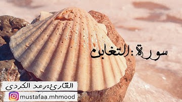 رعد الكردي -سورة التغابن - حالات واتساب