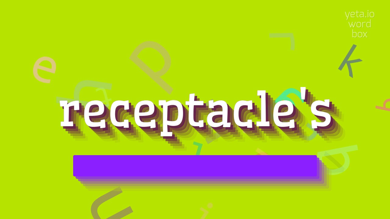 How to say "receptacle's"! (High Quality Voices) YouTube
