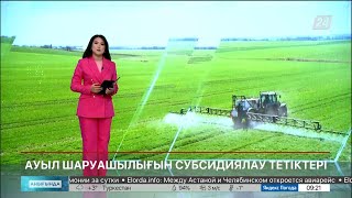 Ауыл шаруашылығын субсидиялау тетіктері | Анығында