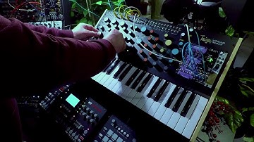 Pittsburgh Modular Taiga | No talking ... just tweaking