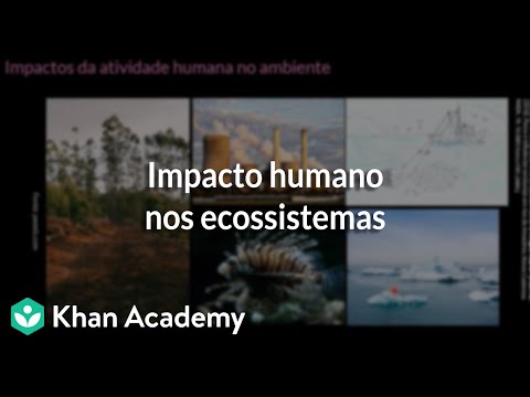 Impacto humano nos ecossistemas