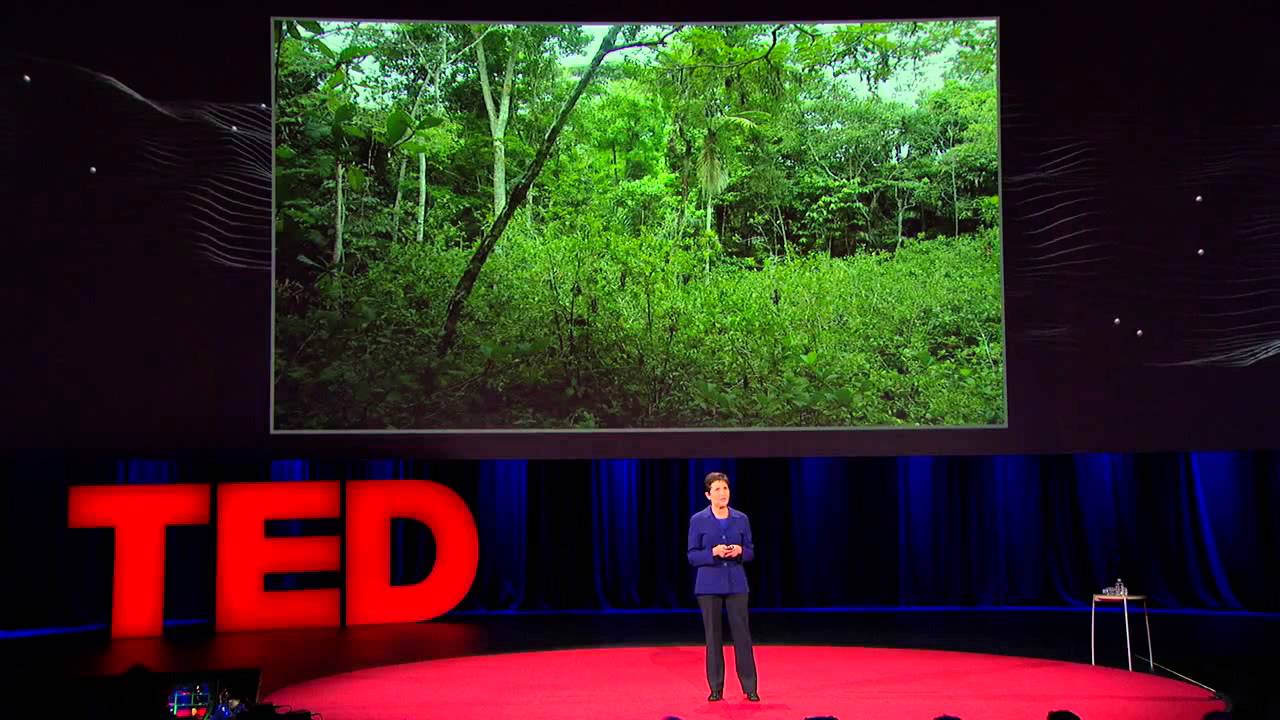 Deborah Gordon What ants teach us about the brain, cancer and the Internet camera iphone 8 plus apk