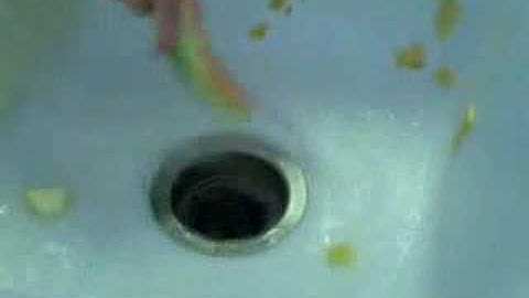 Garbage Disposal Fun! (Cantaloupe and Watermelon)