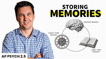 Storing Memories (AP Psychology Review Unit 2 Topic 5)