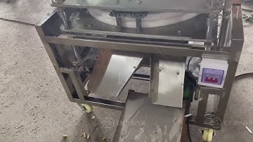 Industrial Palm Dates Pitting Machine Plum Pitting Machine Cherry Pitter Apricot Pitting Machine