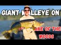 2025 Kenora Walleye Open On Lake Of The Woods 38 000 2025 Kenora Walleye Open On Lake Of The Woods 38 000