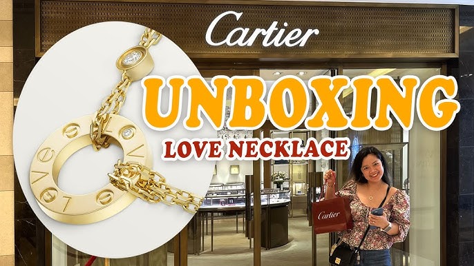 Are Cartier Bags Worth It?  Collab with @LuMiLevelUp & @traingirl