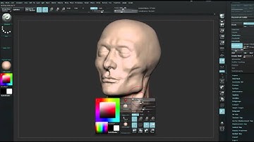 ZBrush tutorial: Sculpt a face using anatomical principles, Part 4