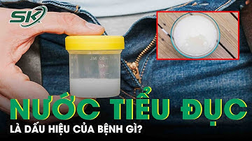 Nam Giới Bị Nước Tiểu Đục Là Dấu Hiệu Của Bệnh Gì? | SKĐS
