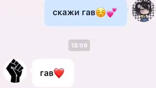 ТЫ МОЙ ПЕС ГАВ ГАВ ШАВ😂😂