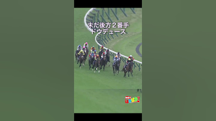 【 競馬 】後世に語り継がれるレース！「32.5の衝撃！」イクイノックス世代のダービー馬復活！ラストランに向けて秋・初戦を飾るドウデュース【 2024 天皇賞秋 】 #shorts