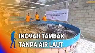 NGANJUK - Budidaya Udang, Inovasi Tambak Tanpa Air Laut