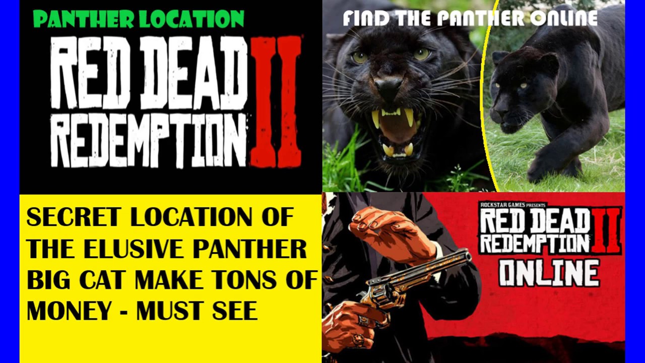 RARE *PANTHER * RED DEAD REDEMPTION 2 ONLINE - RDR 2 - YouTube