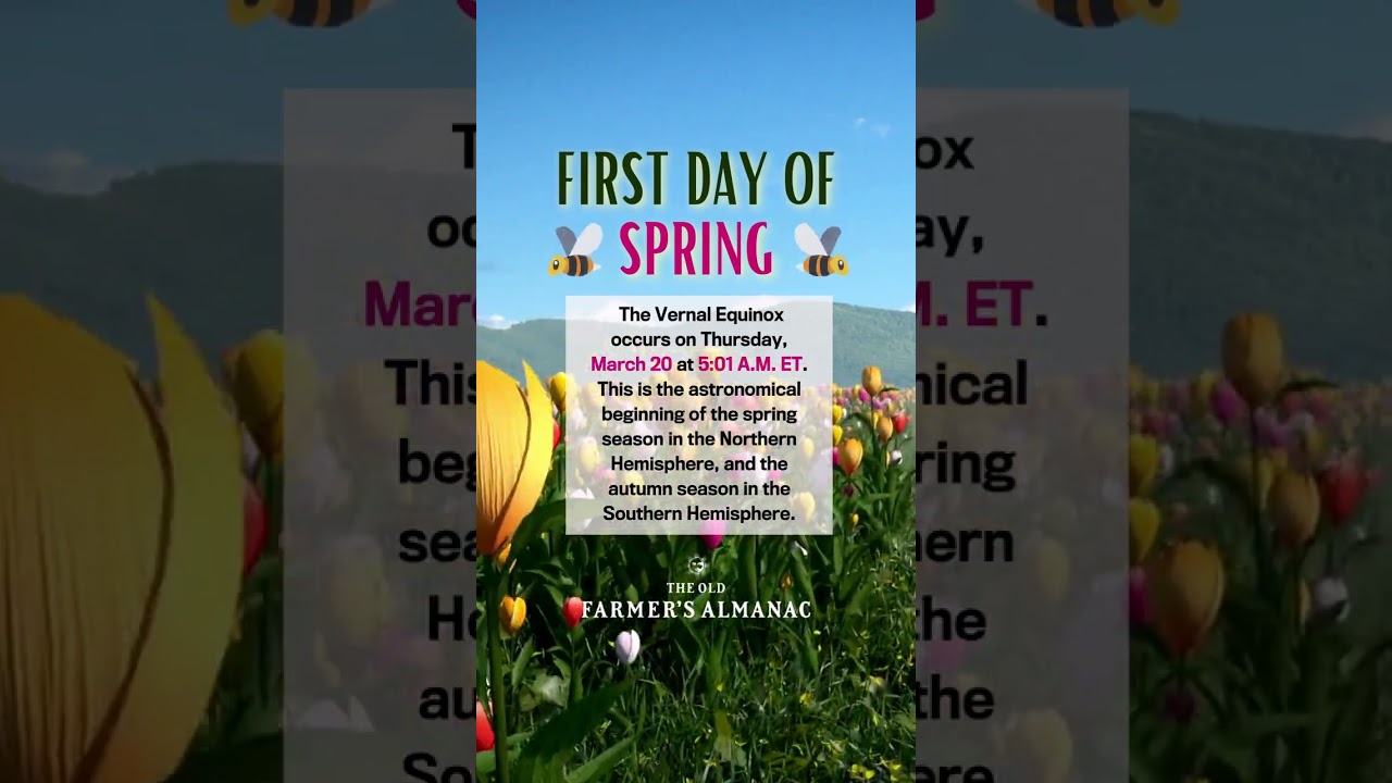 FIRST DAY OF SPRING 2025