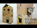 EPIC cardboard cat house DIY