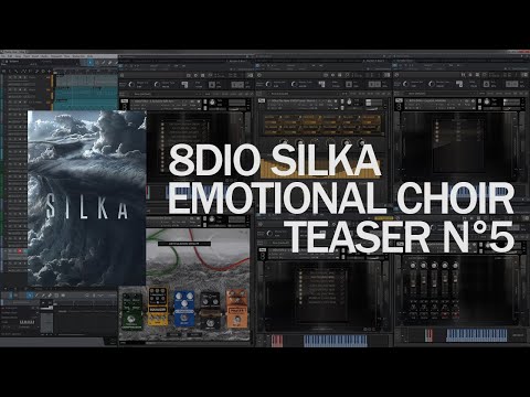 8Dio Silka Teaser 5