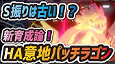 4 パッチルドン育成論 フォーカス重火力両刀 ポケモン剣盾実況