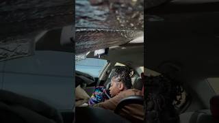 A Land Flowing With Milk & Honey Tiny Home Tour